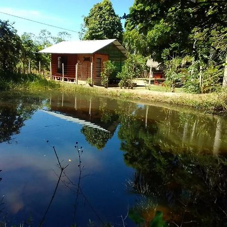 Pensjonat Albertico Jungle House Pucallpa Zewnętrze zdjęcie