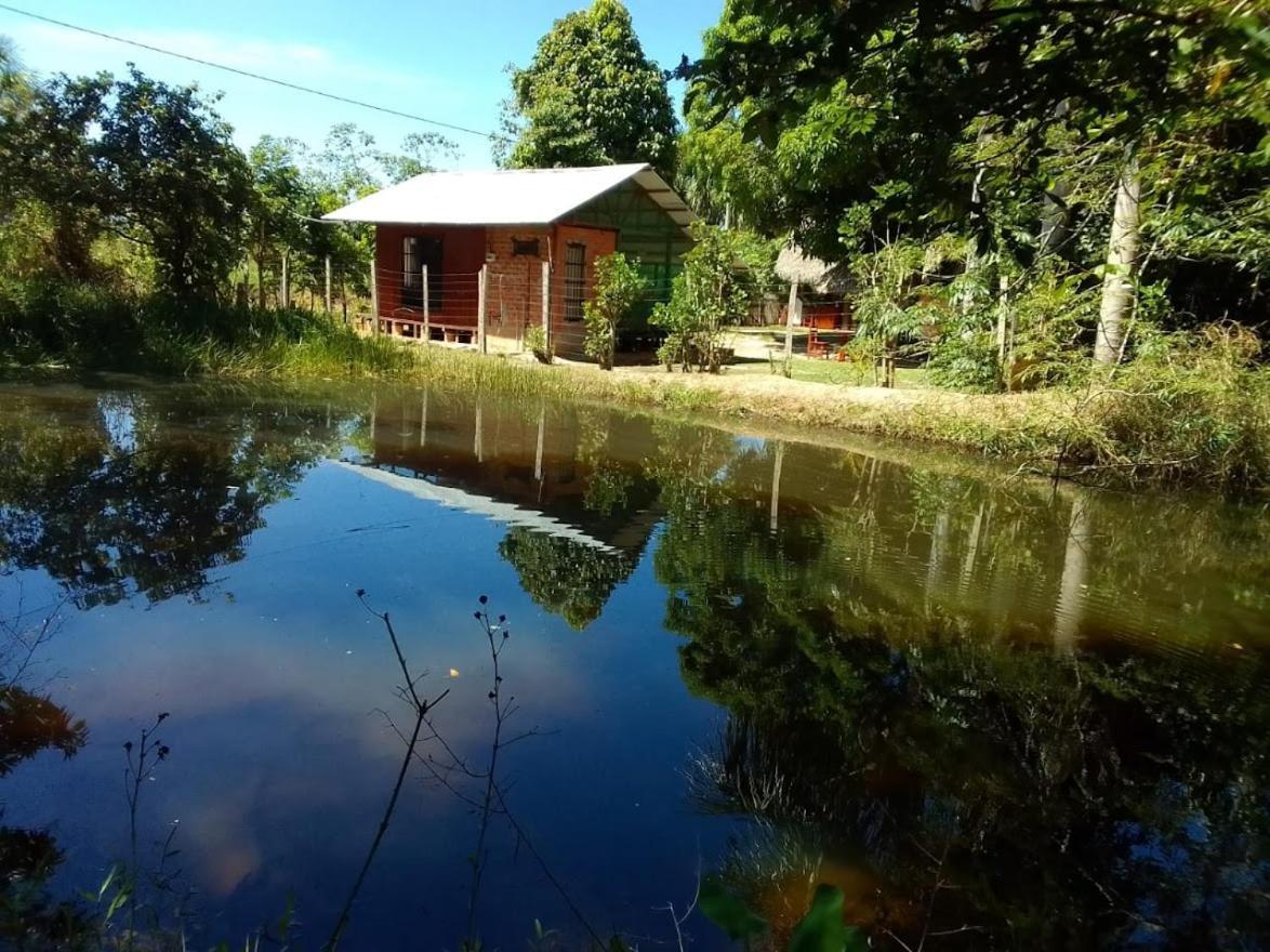 Pensjonat Albertico Jungle House Pucallpa Zewnętrze zdjęcie